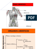 Clase 14-15. Sistema Linfatico.2012