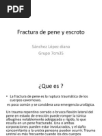 Fractura de Pene y Escroto