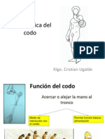 Biomecanica Del Codo y Pronosupinacion