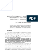 Execução de Penas e Medidas Privativas Da Liberdade - Análise Evolutiva e Comparativa