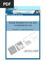 Secene Image Segmentation