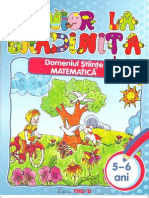 Adinita - Domeniul.matematica 5-6 Ani