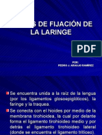 Medios de Fijacion de La Laringe - Futura Médica