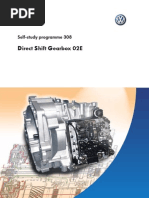 DSG 02e SSP - 308 PDF