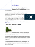 Como Plantar Orégano PDF