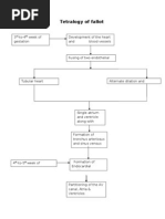 Tetralogy of Fallot