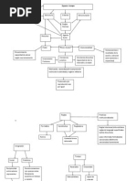 Mapa Anthony Giddens