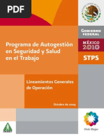 Programa de Autogestion de Seg en El Trabajo Stps