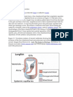 Closed Circulatory System