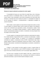 Redução Do Impacto Ambiental Na Produção de Carvão Vegetal