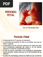 16 Periodo Fetal