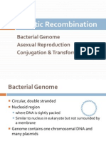 Bacterial Genetic Recombination