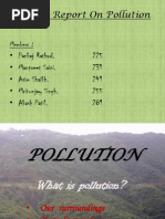 Pollution For Fy Bms