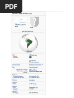 Mercosur Mapa Mental y Otros