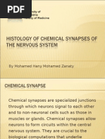 Histology of Chemical Synapses of The Nervous System