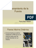 Entrenamiento Fuerza 1 PDF