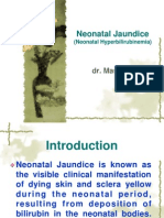 Neonatal Jaundice DR - Masliani