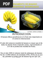 Atmosfera Modificada en Banano Diapositivas Inteligencia Artificial