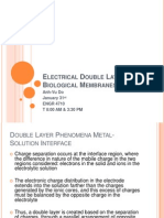 Electrical Double Layer in Biological Membranes