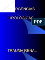 AULA 12 - Trauma Genitourinário