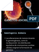 Gametos Anormales