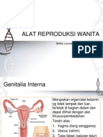 Alat Reproduksi Wanita