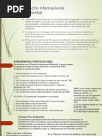 Derecho Internaciónal Ambiental Final