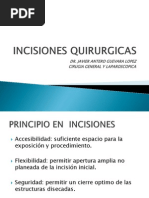 Incisiones Quirurgicas