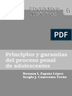 Principio y Garantias Del Proceso Penal Adolescente - Roxana Zapata Lopez y Sergio J. Cuarezma T