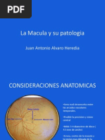 Macula y Su Patologia