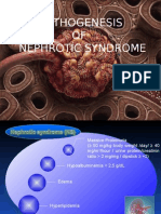 Pathogenesis of Nephrotic Syndrome