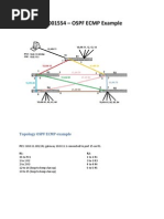 Topology OSPF ECMP Example