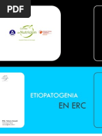 2 - Etiopatogenia en Erc - Valeria Aicardi (Udd 07-2013)