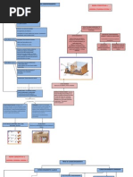 Mapas Conceptuales Aec