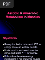 Aerobic & Anaerobic Metabolism in Muscles