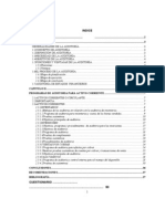 Progrmas y Guias de Auditoria Activo Corriente