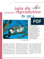 Fisiologia Do Ciclo Reprodutivo Felino