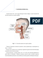 CURS - Partea Speciala II