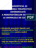 Diagnosticul Si Abordarea Terapeutica Diferentiata A Manifestarilor Digestive La Animalele de Companie