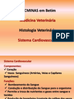 Texto Sistema Cardiovascular Completo