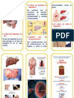 TRIPTICO Hepatitis