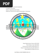 Protocolo Crisantemo