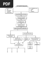 Pathophysiology of Cva-Hpnii-Hemorrhagic Stroke