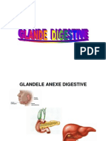 Sistem Digestiv Histologie