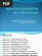 Defectos Congenitos Del Tubo Neural