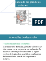 Enfermedades de Las Glándulas Salivales