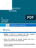 Computer Worms: Sadique Nayeem