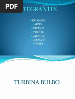 Turbinas Bulbo