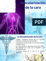 Anatomia Vascularizacion de La Cara