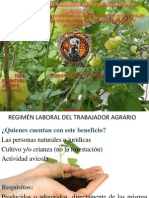 Aspecto Laboral Agropecuario